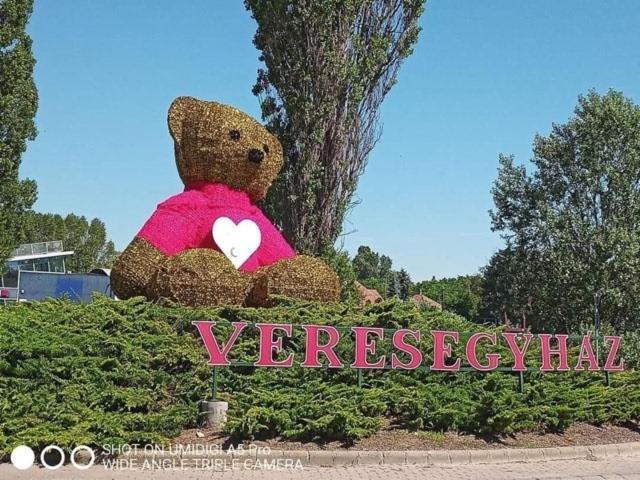 Mandi apartman Veresegyház Esterno foto